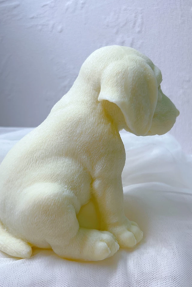 Beagle Candle Mould 6 - Silicone Mould, Mold for DIY Candles. Created using candle making kit with cotton candle wicks and candle colour chips. Using soy wax for pillar candles. Sold by Myka Candles Moulds Australia