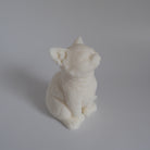 Kitten Candle Mould 1 - Silicone Mould, Mold for DIY Candles. Created using candle making kit with cotton candle wicks and candle colour chips. Using soy wax for pillar candles. Sold by Myka Candles Moulds Australia