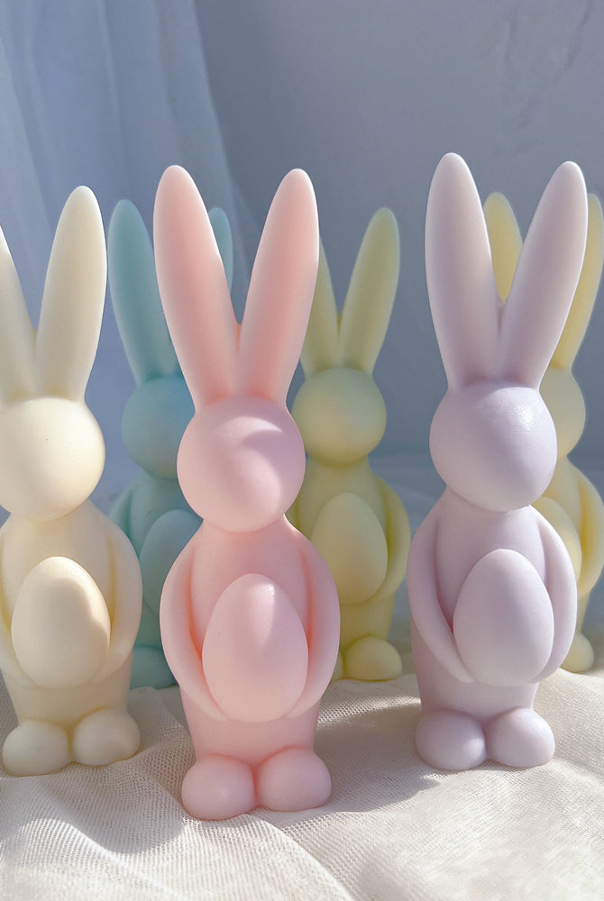 Easter Bunny heart candle moulds