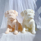 A detailed Boxer Puppy Candle Mould silicone candle mould by MYKA Candles and Moulds, perfect for candle making, soap moulds, and resin moulds.