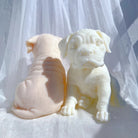 A detailed Boxer Puppy Candle Mould silicone candle mould by MYKA Candles and Moulds, perfect for candle making, soap moulds, and resin moulds.
