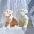 Precision-designed Boxer Puppy Candle Mould silicone candle mold by MYKA Candles and Moulds for resin moulds and gourmet cake mould designs.
