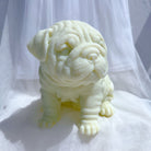 View of the Bulldog Puppy Candle Mould silicone candle mould from MYKA Candles and Moulds, ideal for DIY soap moulds and cake mould projects.