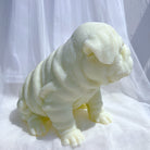 A high-performance Bulldog Puppy Candle Mould silicone candle mold from MYKA Candles and Moulds for resin art and professional baking mould use.