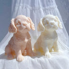 The Cavalier King Charles Spaniel Puppy Candle Mould silicone candle mould by MYKA Candles and Moulds, optimized for professional candle, soap, and cake moulds.