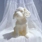 A detailed Cavalier King Charles Spaniel Puppy Candle Mould silicone candle mould by MYKA Candles and Moulds, perfect for candle making, soap moulds, and resin moulds.