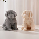 A premium Golden Retriever Puppy Candle Mould silicone candle mold by MYKA Candles and Moulds, a versatile tool for soap, resin, and cake mould crafting.