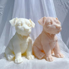 A versatile Jack Russell Puppy Candle Mould silicone candle mould by MYKA Candles and Moulds, suitable for resin moulds and decorative cake mould shapes.