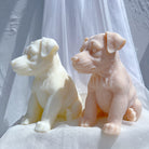An intricate Jack Russell Puppy Candle Mould silicone candle mold by MYKA Candles and Moulds, designed for aesthetic candles and resin moulds.