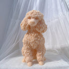 Crafting with the Poodle Candle Mould silicone candle mould by MYKA Candles and Moulds, also used for soap, resin, and cake moulds.