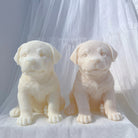 An aesthetic Rottweiler Puppy Candle Mould silicone candle mould from MYKA Candles and Moulds, perfect for soap, resin, and cake mould art.