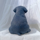 The Rottweiler Puppy Candle Mould silicone candle mould by MYKA Candles and Moulds, a top choice for artistic resin moulds and baking moulds.