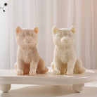 Handmade Shiba Inu Puppy Candle Mould silicone candle mold from MYKA Candles and Moulds, perfect for resin moulds and unique baking mould shapes.