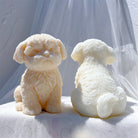 An intricate Shih Tzu Puppy Candle Mould silicone candle mold by MYKA Candles and Moulds, designed for aesthetic candles and resin moulds.