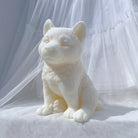 High-quality Siberian Husky Puppy Candle Mould silicone candle mould from MYKA Candles and Moulds, great for resin moulds and professional baking mould needs.