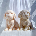 Professional Springer Spaniel Puppy Candle Mould silicone candle mould by MYKA Candles and Moulds, also used for resin moulds and baking mould designs.