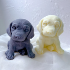 Beagle Candle Mould 1 - Silicone Mould, Mold for DIY Candles. Created using candle making kit with cotton candle wicks and candle colour chips. Using soy wax for pillar candles. Sold by Myka Candles Moulds Australia