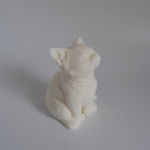 Showcasing the Kitten Candle Mould silicone candle mould by MYKA Candles and Moulds for creative baking moulds and candle making.